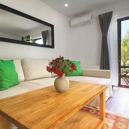 Lagom Apartments Drežnik Grad Kültér fotó