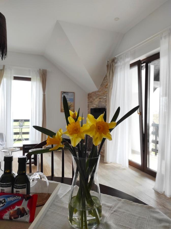 Lagom Apartments Drežnik Grad Kültér fotó