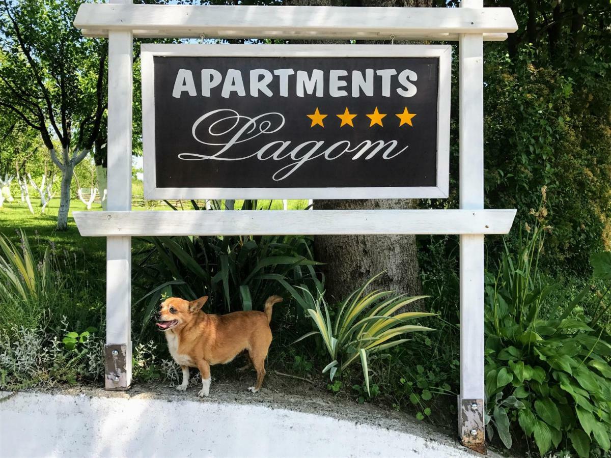 Lagom Apartments Drežnik Grad Kültér fotó