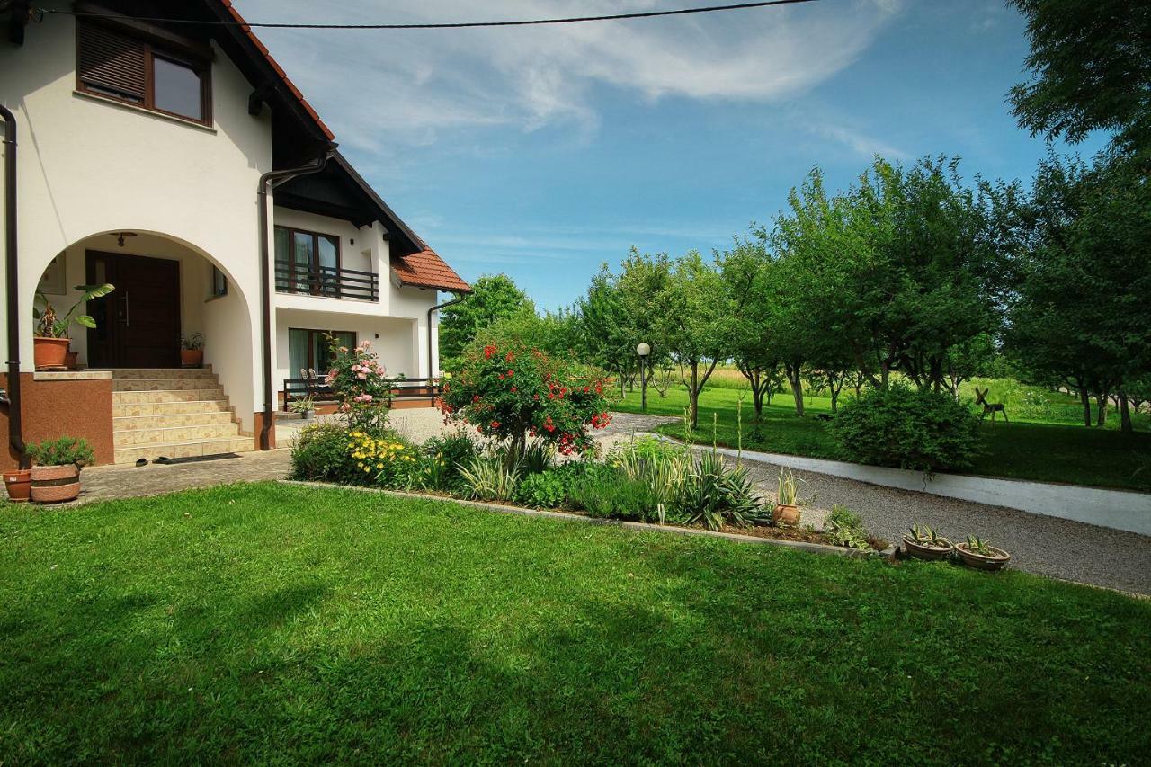 Lagom Apartments Drežnik Grad Kültér fotó